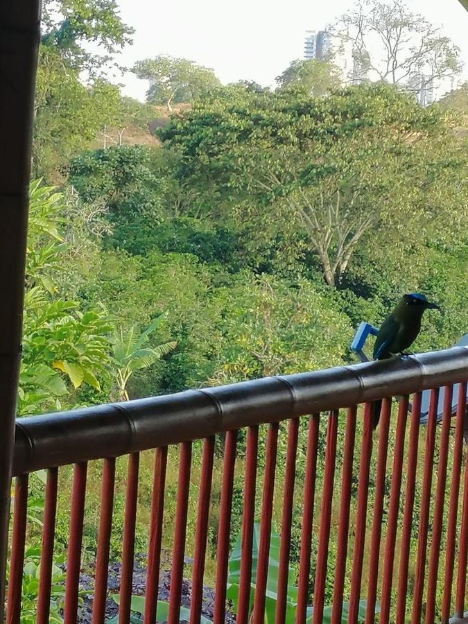 Finca Hotel El Diamante Calarcá 外观 照片