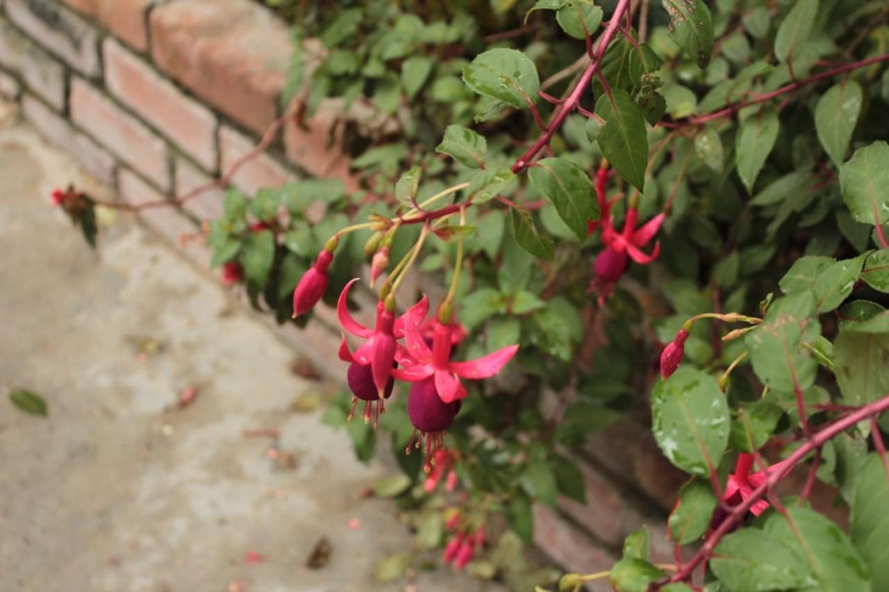 Finca Hotel El Diamante Calarcá 外观 照片