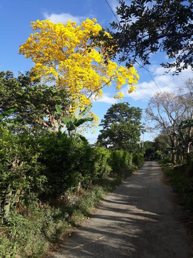 Finca Hotel El Diamante Calarcá 外观 照片