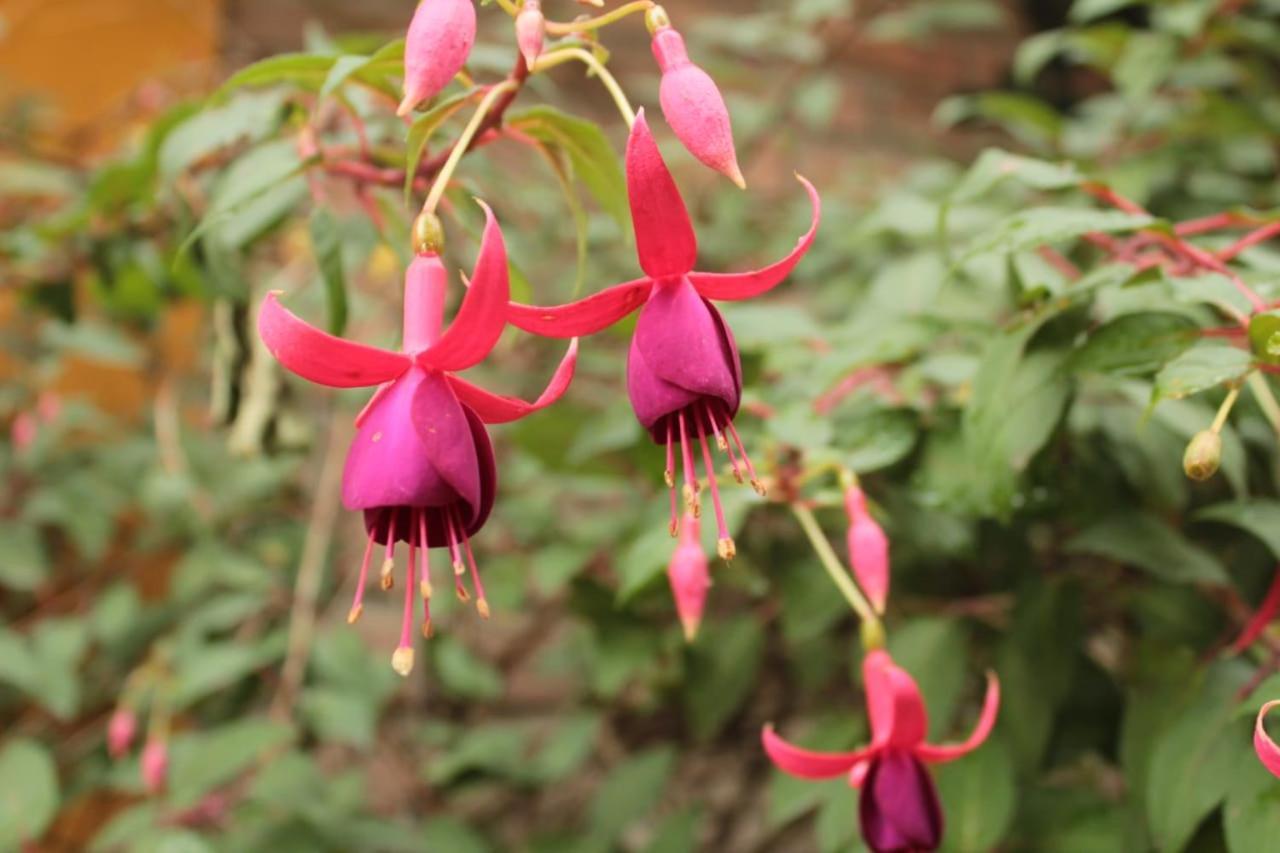 Finca Hotel El Diamante Calarcá 外观 照片