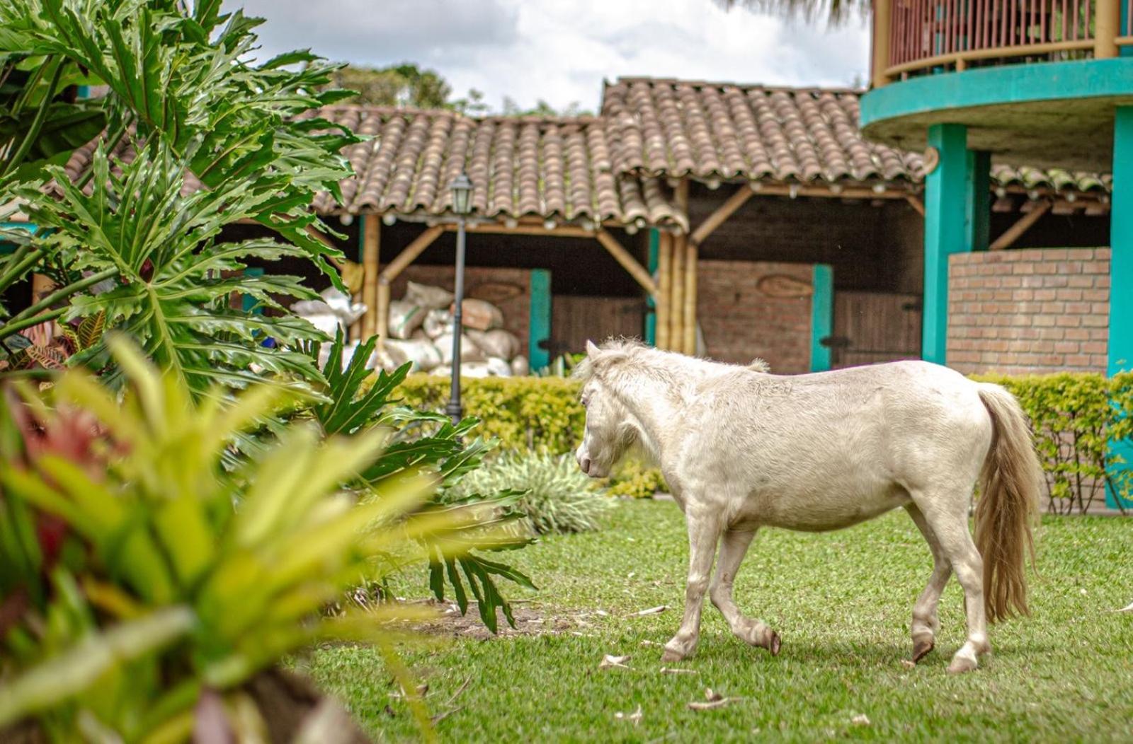Finca Hotel El Diamante Calarcá 外观 照片